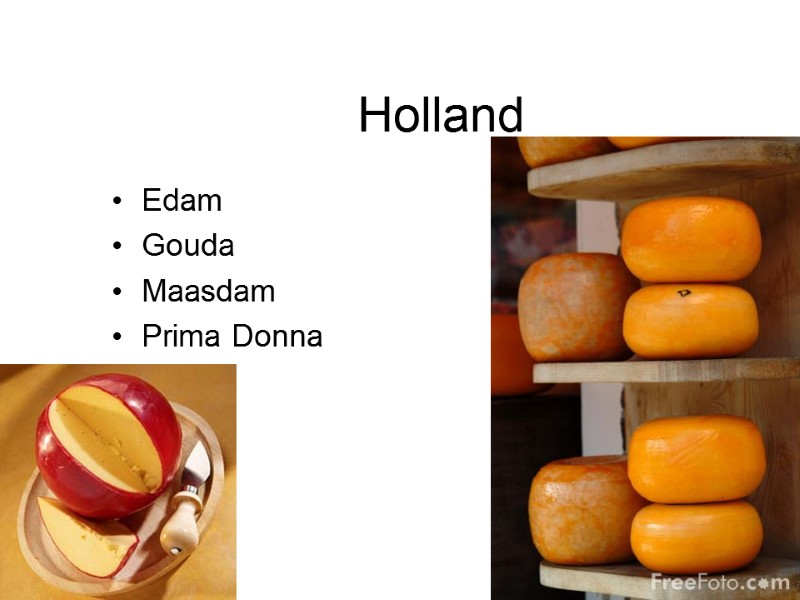 Holland Edam Gouda Maasdam Prima Donna Holland Edam Gouda Maasdam Prima Donna